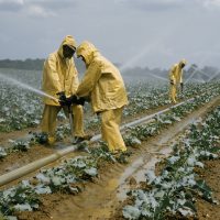 Agricultural Runoff