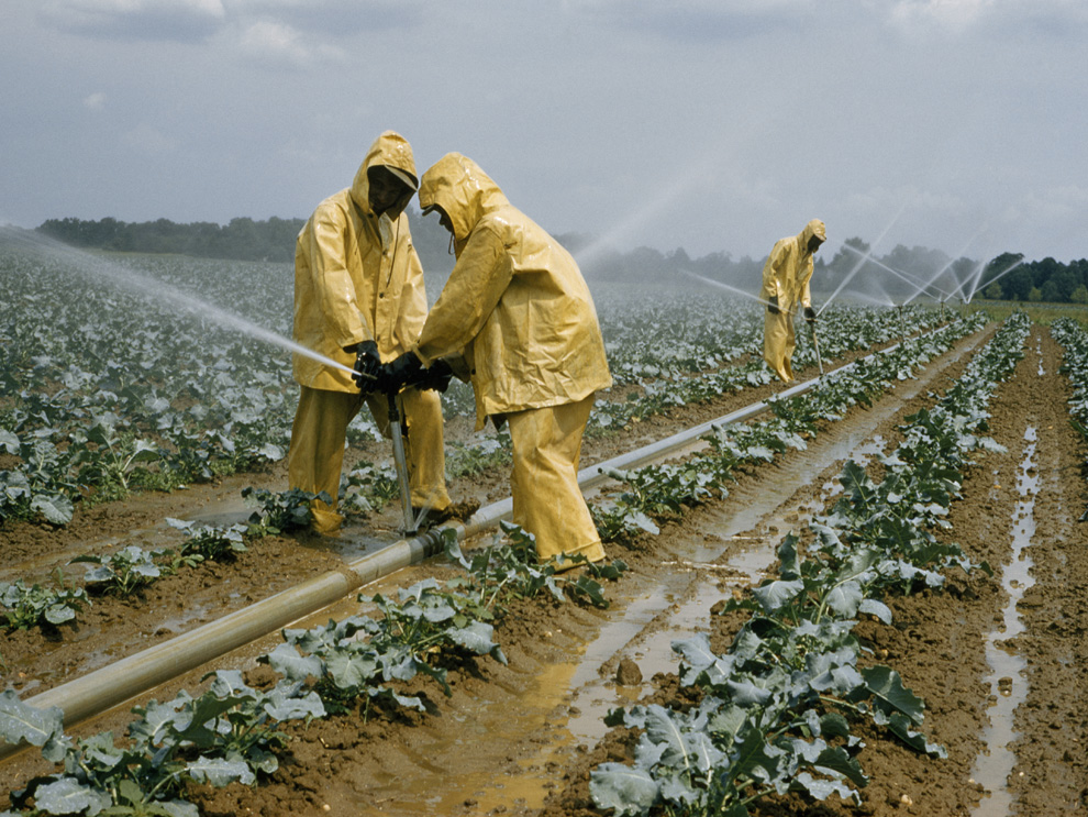 Agricultural Runoff